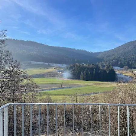 Ferienwohnungen Greve Baiersbronn Extérieur photo